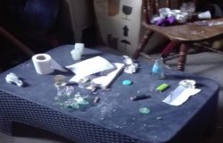 ORGANIZZAVANO FESTINI