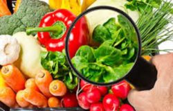 Sicurezza alimentare, Asrem Molise, Regione Molise