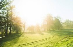 Bel tempo, weekend soleggiato primaverile