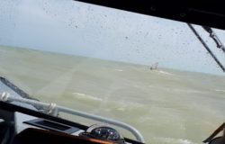CRONACA - Sorpreso a fare surf in piena emergenza coronavirus denunciato un 50enne