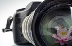 ti racconto la natura dalla mia finestra