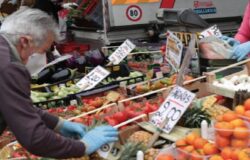 ISERNIA, Mercati settimanali, alimentari