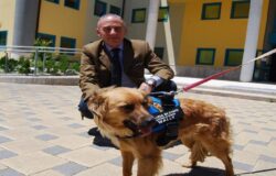 ISERNIA, Wally, cagnolina, abbandonata, maltrattata, mascotte, quattro zampe, Polizia