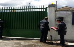 OPERAZIONE WASHED OIL, Evasione d'imposta, sigilli, azienda molisana, Sequestro beni