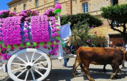 la Carrese di San Pardo