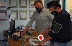 marijuana, corriere espresso, isernino, arrestato, droga