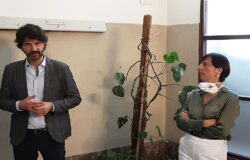 CAMPOBASSO, Stefania Tomaro, amministratrice unica, Sea