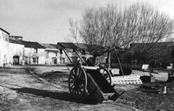 il verlasce di venafro