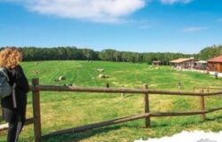 prato gentile capracotta