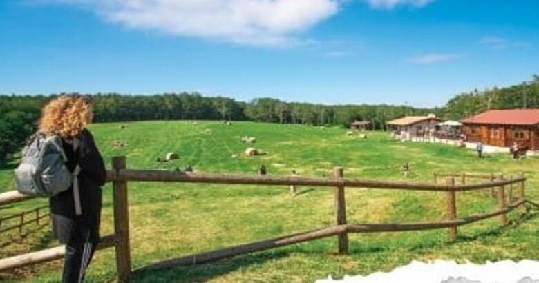 prato gentile capracotta