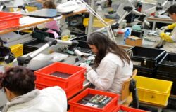 ECONOMIA, Uecoop Molise, casse vuote, calo fatturato