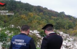 Falsificava, certificati, ifiuti, denunciato, imprenditore