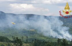Ferragosto di incendi, bruciati oltre 5 ettari di bosco