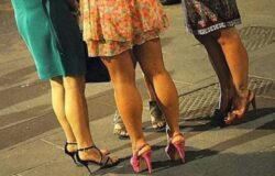 COVID 19, movidacovidfree, Campobasso, test sierologi, gratuiti, giovani