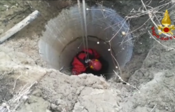 Cane, pozzo, salvato, Vigili del Fuoco