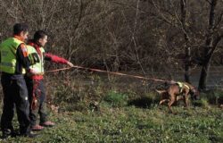 Donna, scomparsa, ricerche in corso