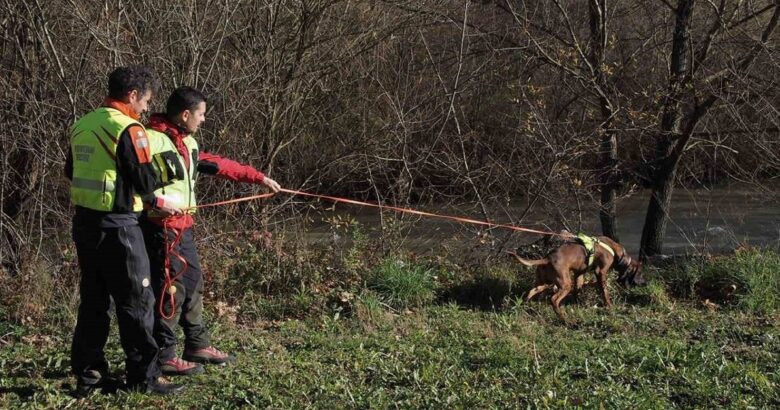 Donna, scomparsa, ricerche in corso