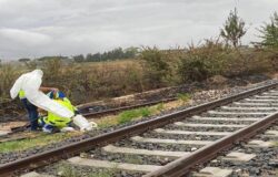 FERROVIE, Ripristinata, linea, Campobasso-Termoli, incendi