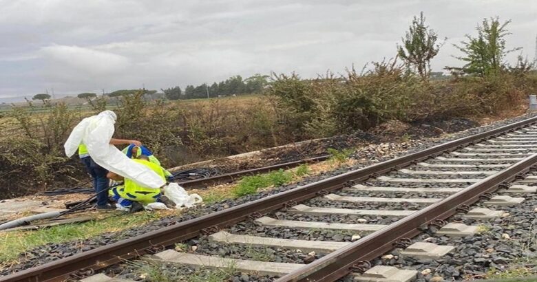 FERROVIE, Ripristinata, linea, Campobasso-Termoli, incendi