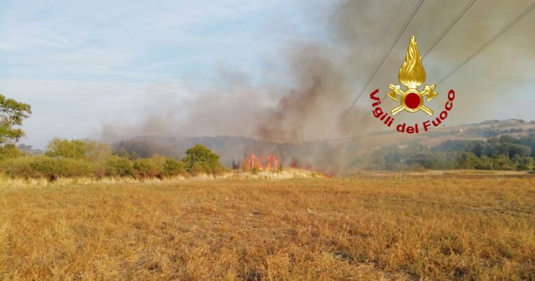 INCENDIO, Fiamme, Biferno, vegetazione mista