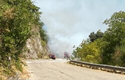Incendio, Santa Maria Oliveto, fuoco, lambisce le case