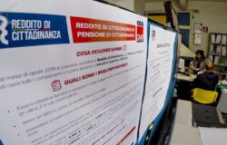 REDDITO DI CITTADINANZA, CAF, Molise, domande