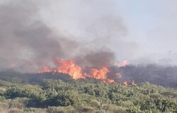 pozzilli santa maria oliveto stincone incendio