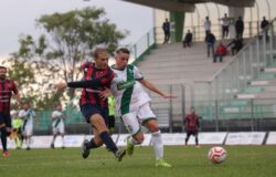 CASTELFIDARDO 1 - CAMPOBASSO 1