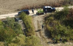 Marijuana, piantagione di droga