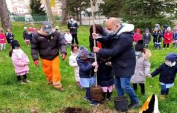 CAMPOBASSO, Giornata nazionale, alberi, messi a dimora giardini,