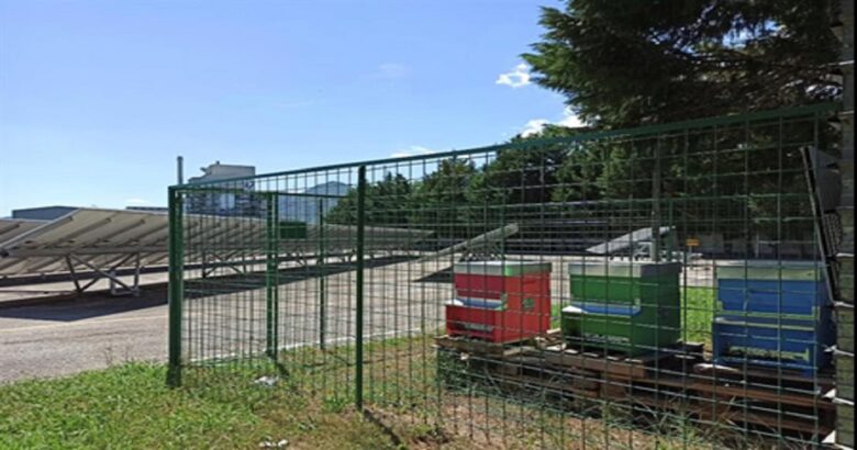 “Capiamo”, Herambiente, biomonitoraggio, termovalorizzatore, Pozzilli