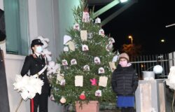 larino, albero della cultura della legalità, carabinieri, studenti,
