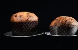 panettoni molise gambero rosso