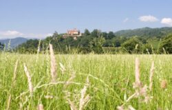 Agricoltura sociale, sfruttamento, terre incolte