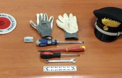 Cacciavite, chiave inglese, OBD, denunciati, giovani