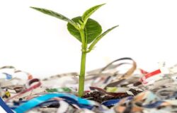 ECOFORUM, Molise, Economia circolare