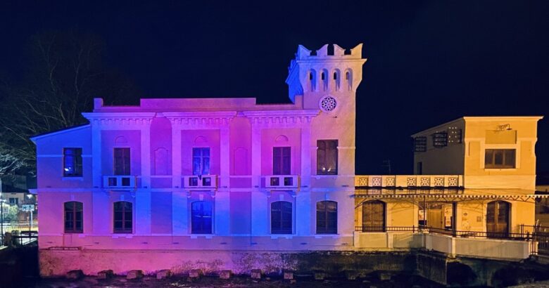 palazzina liberty venafro viola epilessia