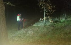 uomo scomparso gildone ricerche in corso