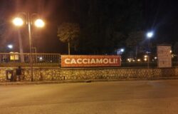 Cacciamoli, Consiglio regionale, politica