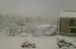 Maltempo, neve, Altomolise, Molise,