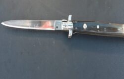 andava in giro, armato di coltello, denunciato