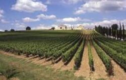 Agricoltura, in arrivo aiuti per agriturismi e fattorie didattiche