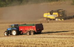 Ristoro, agricoltori, Molise, indennità compensativa