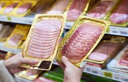 etichettatura carni suine