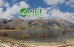 matese nostrum logo