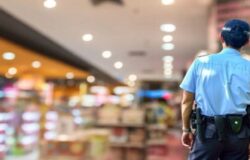 Assistenti alla custodia e vigilanza nel settore culturale