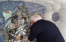 Casa di riposo, Pistilli, Stanza degli Abbracci