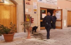 Cultura della legalità, Carabinieri, scuole, unità cinofile, antidroga