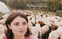 GPS, pecore, gregge, giovane allevatrice, Sesto Campano Anna Martone