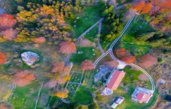 Giardino flora appenninica